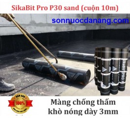 SIKABIT PRO P-30-0 SAND SIKABIT PRO P-30-0 SAND